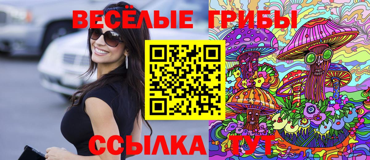 Россия  Псилоцибиновые грибы мицелий  Вход с VPN 